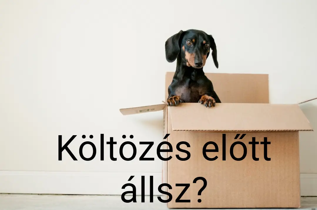 költözés előtt állsz?
